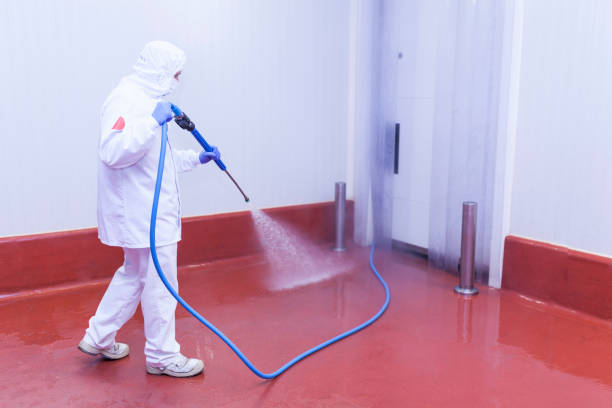 Boat and Dock Cleaning in Greentree, NJ